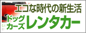 エコな時代の新生活ドッグカーズレンタカー