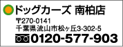 ドッグカーズ南柏店