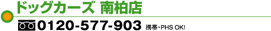 ドッグカーズ南柏店
